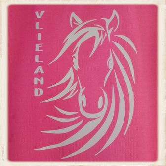 Kinder sweater met print "Vlieland Pony"