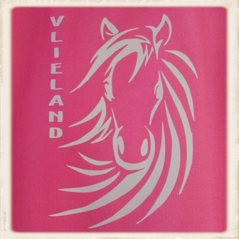 Kinder sweater met print &quot;Vlieland Pony&quot;