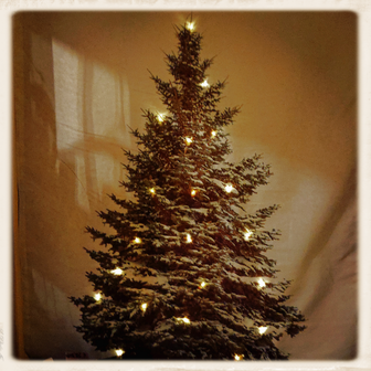 Wandkleed Kerstboom