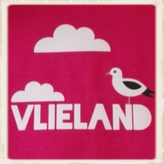 Kinder hoodie met meeuw van Anne print 
