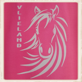 Kinder sweater met print "Vlieland Pony"_