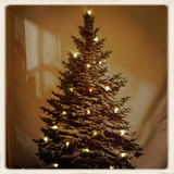Wandkleed Kerstboom_